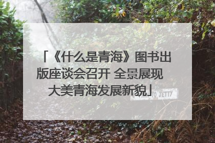 《什么是青海》图书出版座谈会召开 全景展现大美青海发展新貌
