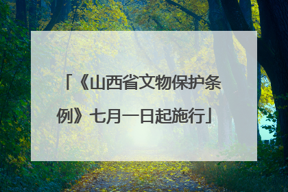 《山西省文物保护条例》七月一日起施行