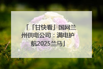 「甘快看」国网兰州供电公司：满电护航2025兰马