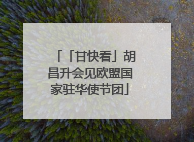 「甘快看」胡昌升会见欧盟国家驻华使节团