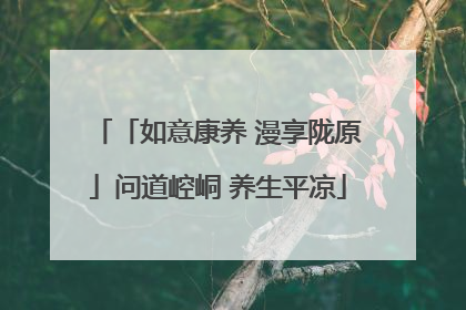 「如意康养 漫享陇原」问道崆峒 养生平凉