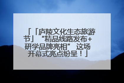 「庐陵文化生态旅游节」“精品线路发布+研学品牌亮相” 这场开幕式亮点纷呈！
