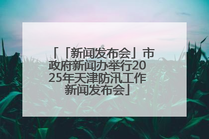 「新闻发布会」市政府新闻办举行2025年天津防汛工作新闻发布会