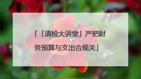「清检大讲堂」严把财务预算与支出合规关