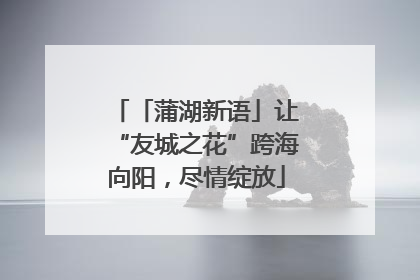 「蒲湖新语」让“友城之花”跨海向阳，尽情绽放