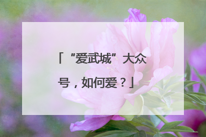 “爱武城”大众号，如何爱？