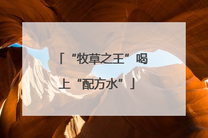 “牧草之王”喝上“配方水”