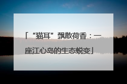 “猫耳”飘散荷香：一座江心岛的生态蜕变