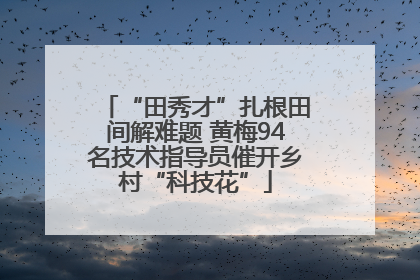 “田秀才”扎根田间解难题 黄梅94名技术指导员催开乡村“科技花”