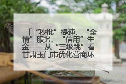 “秒批”提速、“全情”服务、“信用”生金——从“三级跳”看甘肃玉门市优化营商环境的进阶之路