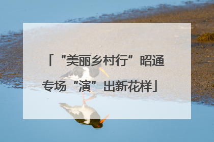 “美丽乡村行”昭通专场“演”出新花样