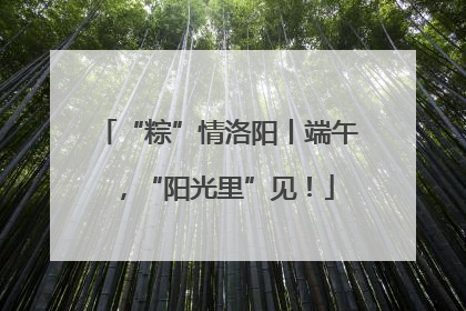 “粽”情洛阳丨端午，“阳光里”见！