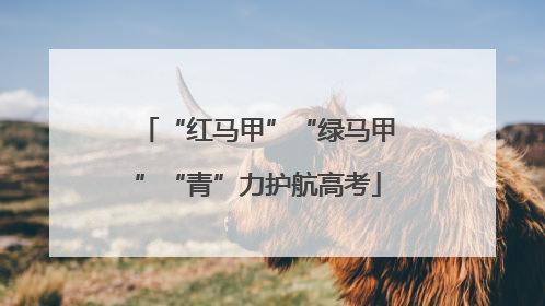 “红马甲”“绿马甲”“青”力护航高考