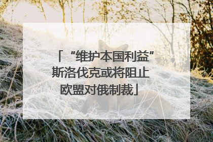 “维护本国利益” 斯洛伐克或将阻止欧盟对俄制裁