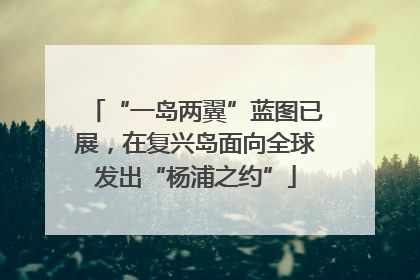 “一岛两翼”蓝图已展，在复兴岛面向全球发出“杨浦之约”