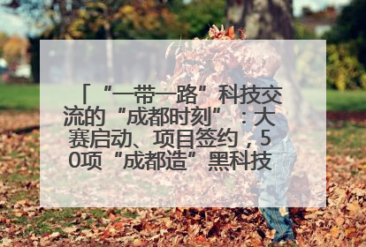 “一带一路”科技交流的“成都时刻”：大赛启动、项目签约，50项“成都造”黑科技吸引多国客商