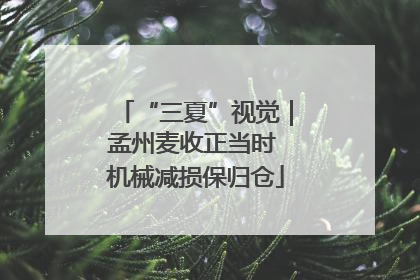 “三夏”视觉｜孟州麦收正当时 机械减损保归仓
