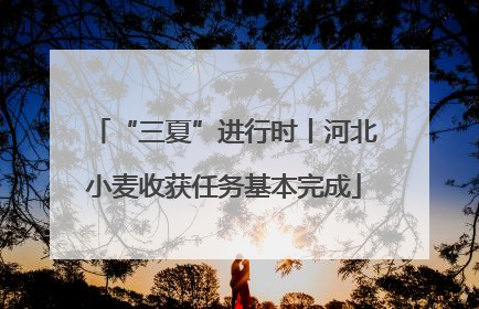 “三夏”进行时丨河北小麦收获任务基本完成