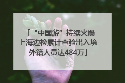 “中国游”持续火爆 上海边检累计查验出入境外籍人员达484万