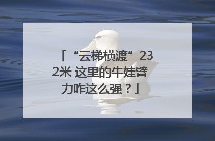 “云梯横渡”232米 这里的牛娃臂力咋这么强？