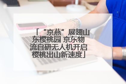 “京燕”展翅山东樱桃园 京东物流自研无人机开启樱桃出山新速度