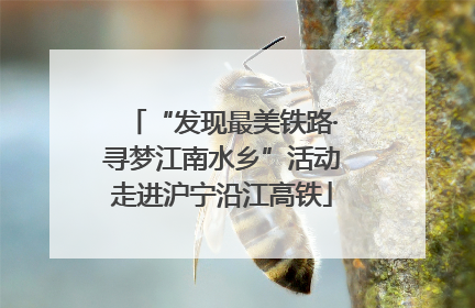“发现最美铁路·寻梦江南水乡”活动走进沪宁沿江高铁