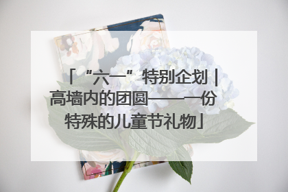 “六一”特别企划｜高墙内的团圆——一份特殊的儿童节礼物