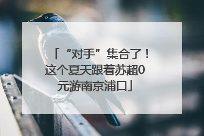 “对手”集合了！这个夏天跟着苏超0元游南京浦口