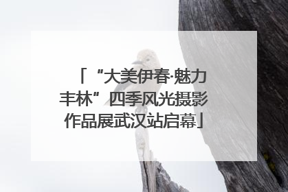 “大美伊春·魅力丰林”四季风光摄影作品展武汉站启幕