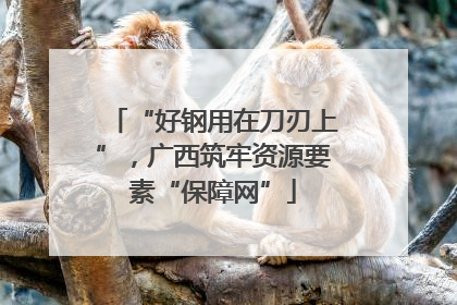“好钢用在刀刃上”，广西筑牢资源要素“保障网”