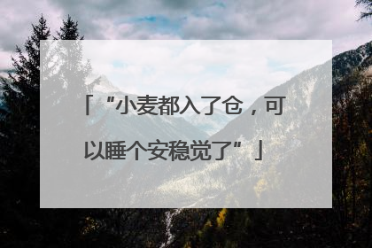 “小麦都入了仓，可以睡个安稳觉了”