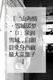 “山海情・雪域援梦”⑪：泉润雪域，白朗县变身西藏最大菜篮子