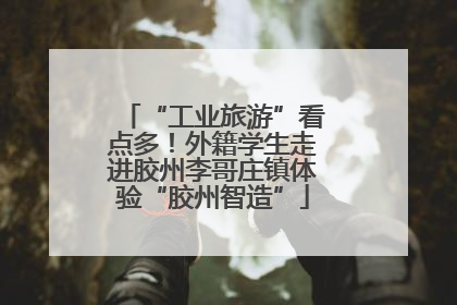 “工业旅游”看点多！外籍学生走进胶州李哥庄镇体验“胶州智造”