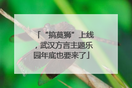 “搞莫狮”上线，武汉方言主题乐园年底也要来了