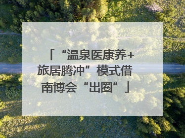 “温泉医康养+旅居腾冲”模式借南博会“出圈”