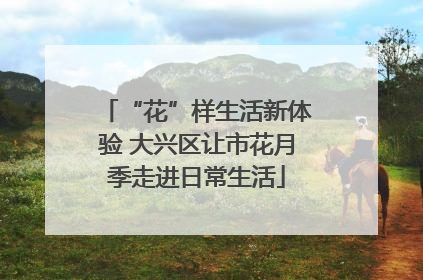 “花”样生活新体验 大兴区让市花月季走进日常生活