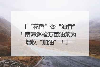 “花香”变“油香”！南漳巡检万亩油菜为增收“加油”！