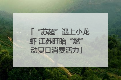 “苏超”遇上小龙虾 江苏盱眙“燃”动夏日消费活力