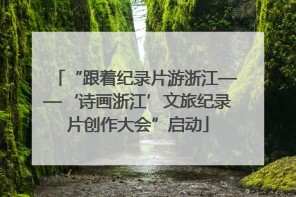 “跟着纪录片游浙江——‘诗画浙江’文旅纪录片创作大会”启动