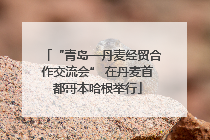 “青岛—丹麦经贸合作交流会” 在丹麦首都哥本哈根举行