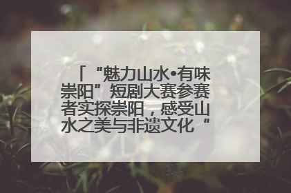 “魅力山水•有味崇阳”短剧大赛参赛者实探崇阳，感受山水之美与非遗文化“提琴戏”魅力