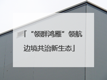 “领群鸿雁”领航边境共治新生态
