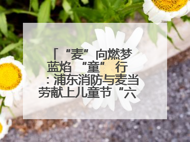 “麦”向燃梦 蓝焰 “童” 行：浦东消防与麦当劳献上儿童节“六一”礼