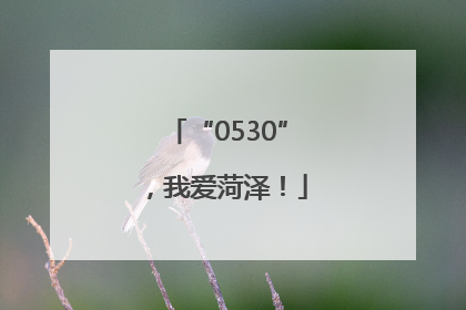 “0530”，我爱菏泽！