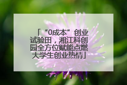 “0成本”创业试验田，湘江科创园全方位赋能点燃大学生创业热情