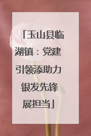 玉山县临湖镇：党建引领添助力 银发先锋展担当