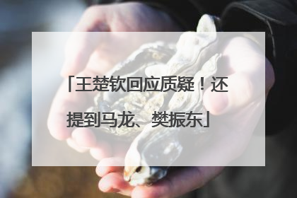 王楚钦回应质疑！还提到马龙、樊振东