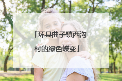 环县曲子镇西沟村的绿色蝶变