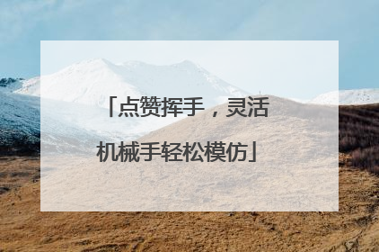 点赞挥手，灵活机械手轻松模仿
