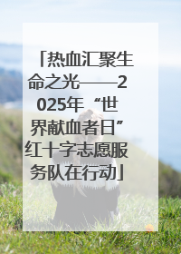 热血汇聚生命之光——2025年“世界献血者日”红十字志愿服务队在行动